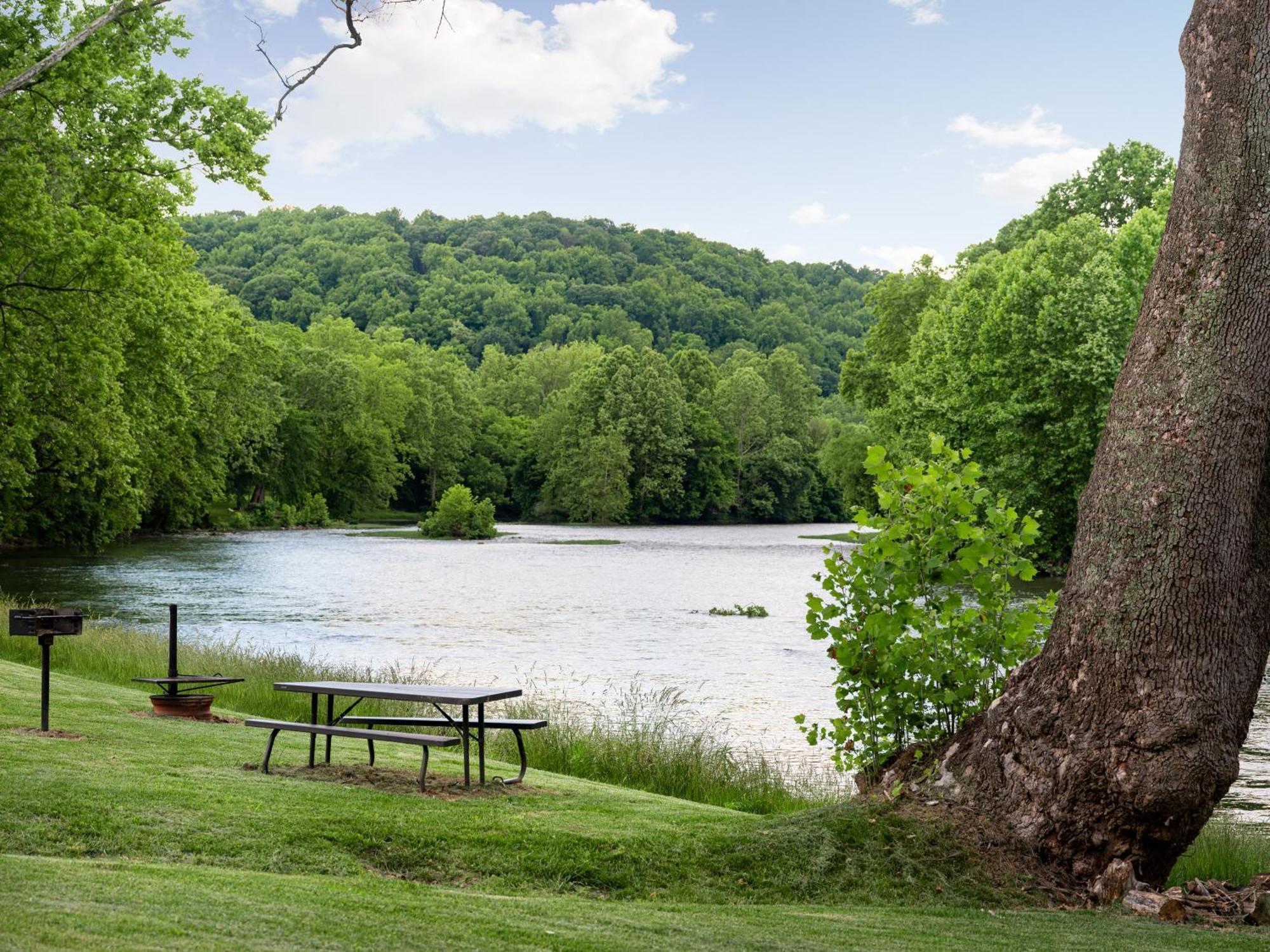 Shenandoah Dog Friendly Cabin With River Access, Hot Tub, Fire Pit, Bbq, Outdoor Dining Exterior photo